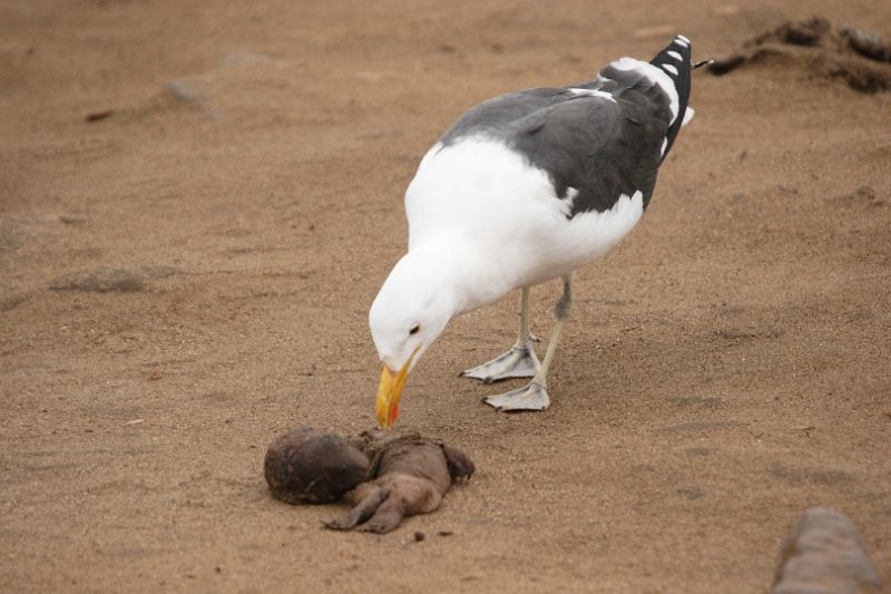 c_2015_09_02 12_41_50_917